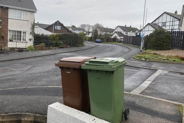 The only bins in the street