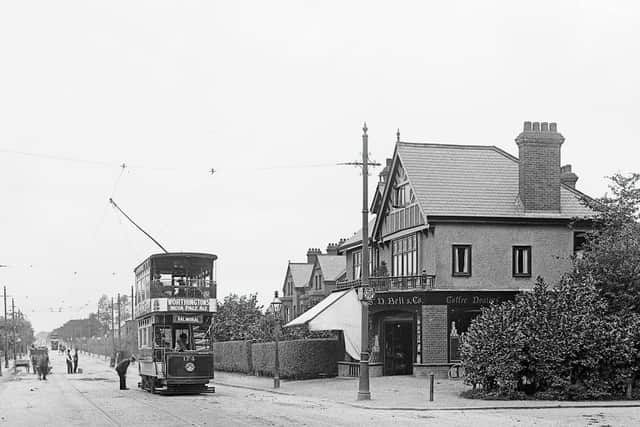 SD Bell & Co Ltd, founded in 1887, has remained in the same family for well over a century and continues to trade from its original premises in Belfast. Pictured is SD Bells, Knock, 1905