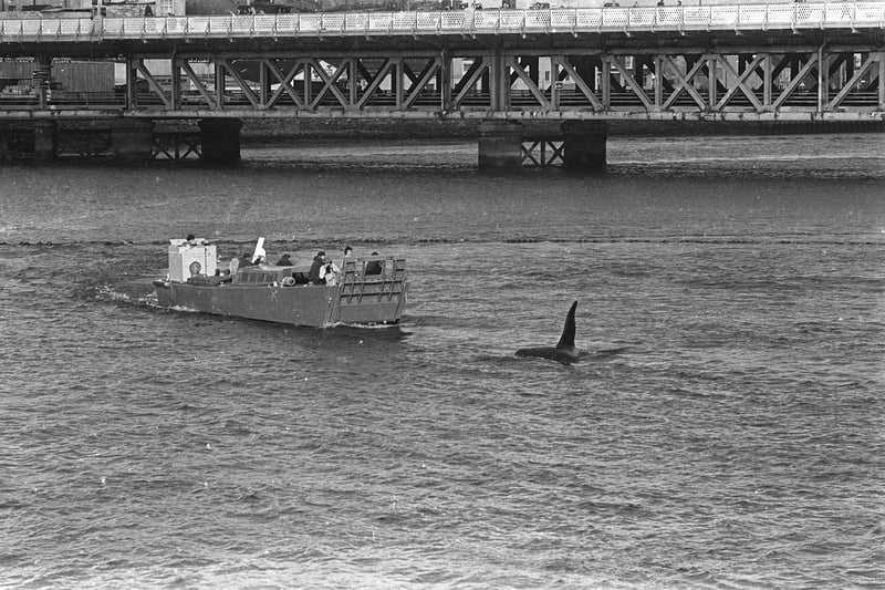 Retro: 1977 in pictures - 19 images looking back at some of the events ...