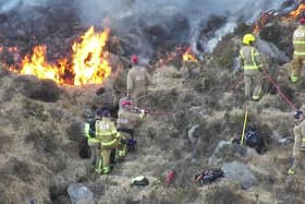 A new action plan has been launched aimed at reducing the threat of wildfires in Northern Ireland.