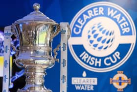 The Clearer Water Irish Cup trophy. (Photo by Jonathan Porter/PressEye)