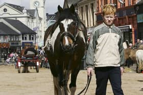 John Ryan takes his horse for a walk during the traditional Ballyclare May Festival and Horse Fair in May 2006. Picture: News Letter archives/Gavan Caldwell