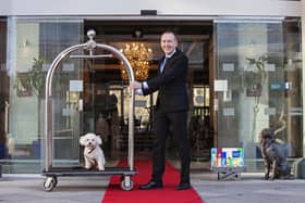 Pampered pooches can enjoyed the Paws & Unwind package at The Kingsley, Cork city