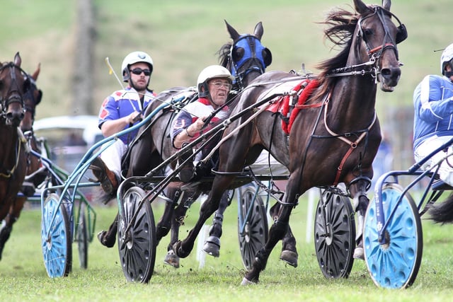 A heats in the harness racing always makes for popular viewing.