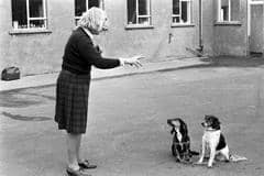 Barbara Woodhouse showing two naughty pups some manners