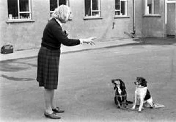 Barbara Woodhouse showing two naughty pups some manners