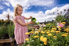 Dobbies Little Seedlings Club and Grow How workshops return to Antrim and Lisburn