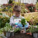 Dobbies’ February Little Seedlings Club will include a hands-on activity about creating compost