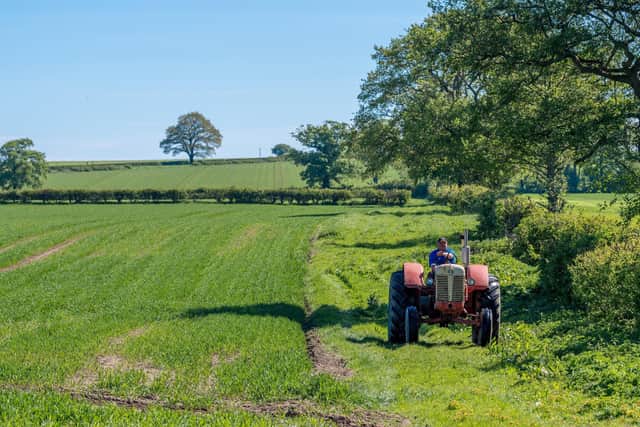 Today's budget is a missed opportunity to help Northern Ireland's struggling agriculture industry, the Ulster Farmers' Union has said.