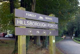 Five dogs were poisoned in Hillsborough Forest Park