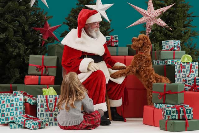 Antrim retail and leisure destination, The Junction, in partnership with new store Dobbies, is on the lookout for Northern Ireland’s most playful pup as it looks to appoint an official doggie toy tester in the run up to Christmas. The successful canine-didate will be paid in treats, toys to the value of £100 and of course, belly rubs