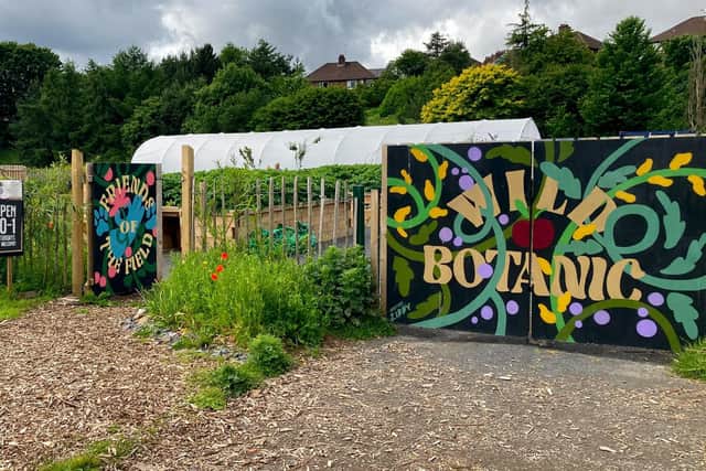 The community garden planted and maintained by Friends Of The Field on Lower Botanic Gardens. Photo: Friends Of The Field/Facebook