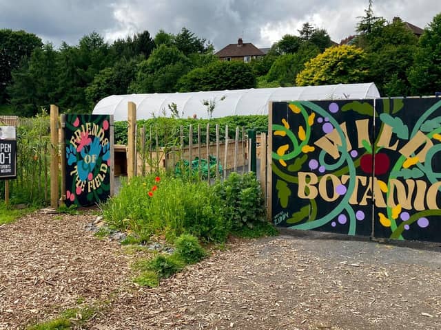 The community garden planted and maintained by Friends Of The Field on Lower Botanic Gardens. Photo: Friends Of The Field/Facebook