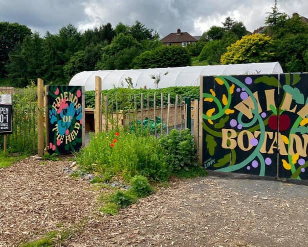 The community garden planted and maintained by Friends Of The Field on Lower Botanic Gardens. Photo: Friends Of The Field/Facebook