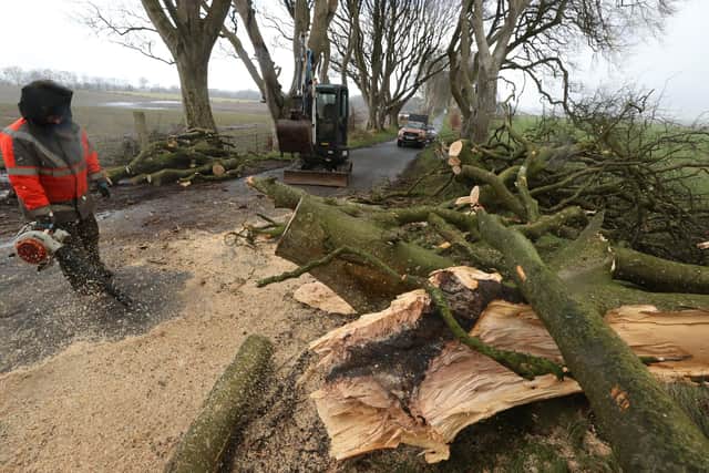 Work was carried out on Monday to clear up fallen trees at the famous Dark Hedges site