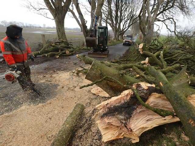 Work was carried out on Monday to clear up fallen trees at the famous Dark Hedges site