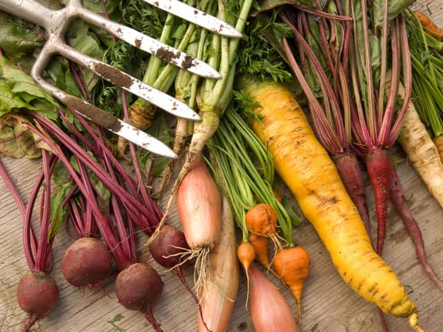 A selection of winter root vegetables.