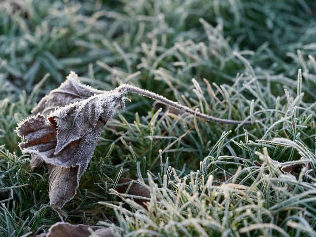 Mist and fog are forecast before a temperature drop brings overnight frost in a change to more autumnal weather for the UK.