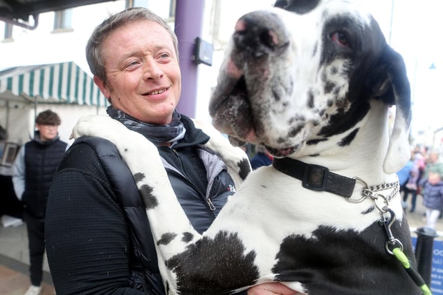 Geoffrey McConnell with his Great Dane Ace.