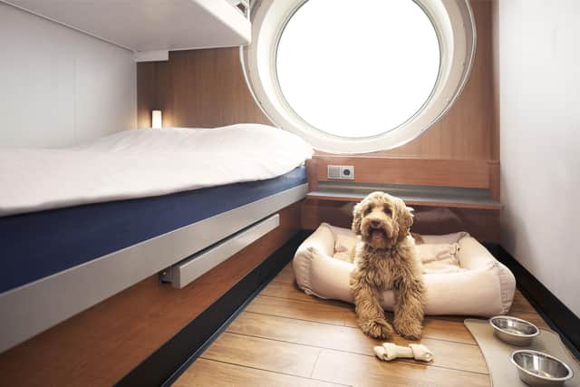It has never been easier to travel with your pet as Stena Line invests in 70 new pet-friendly cabins on Irish Sea routes