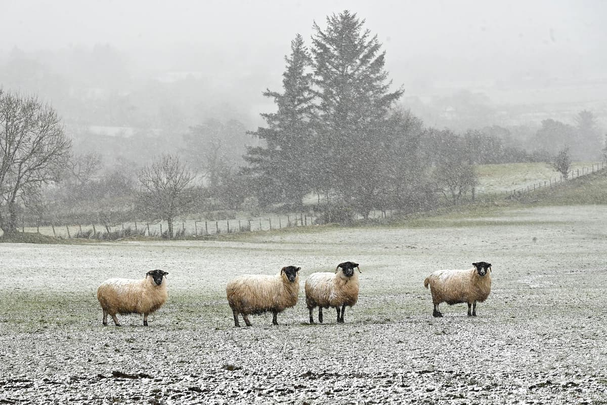 Met Office warning for snow in Northern Ireland later this week and this coming weekend