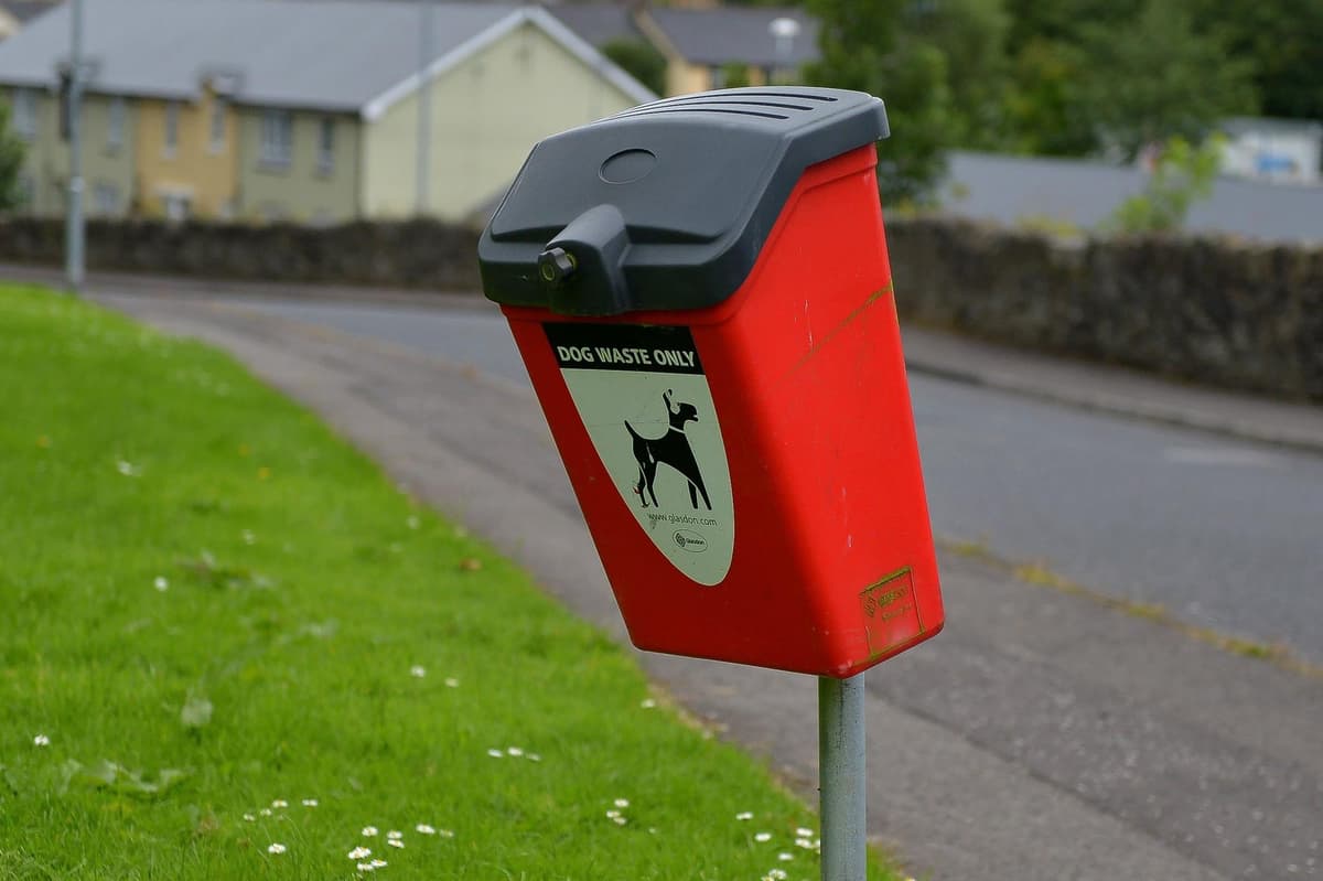 Dog fouling fines: Another Northern Ireland council looks at increase in maximum penalty to £200