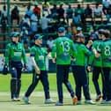 Ireland will travel to the USA for next summer's T20 World Cup. PIC: Zimbabwe Cricket