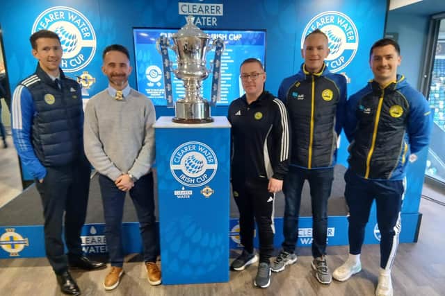 Drumaness Mills will face Glentoran in the Irish Cup sixth round on Saturday. (Photo by Drumaness Mills FC)