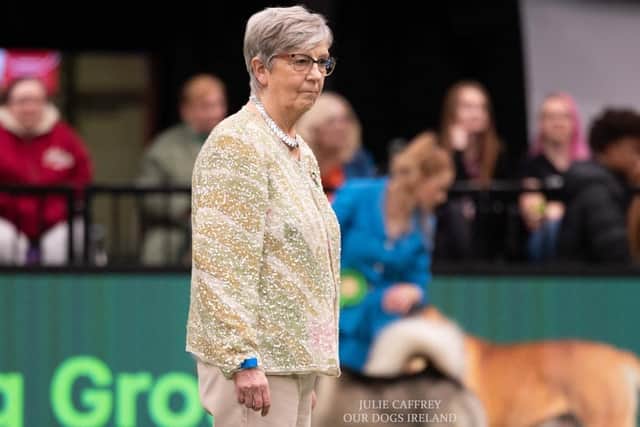 NI woman Ann Ingram will be judging the Best in Show category at Crufts on Sunday