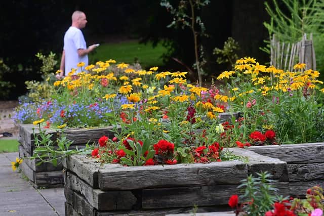 Flowers at Tannaghmore Gardens near Lurgan, as the warm weather continues across Northern Ireland. Pic: Colm Lenaghan/Pacemaker