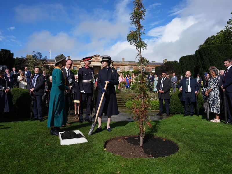 The Princess Royal plants a tree as she attends the annual garden party at Hillsborough Castle during her visit to Northern Ireland. Picture date: Wednesday September 10, 2025. PA Photo. Photo credit should read: Niall Carson/PA Wire
