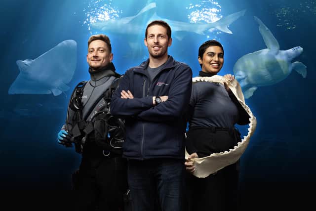 Xav, Marcus and Safa reveal secrets of the aquarium