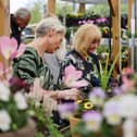 Customers can benefit from hands-on advice and tips from Dobbies horticultural colleagues at May’s G
