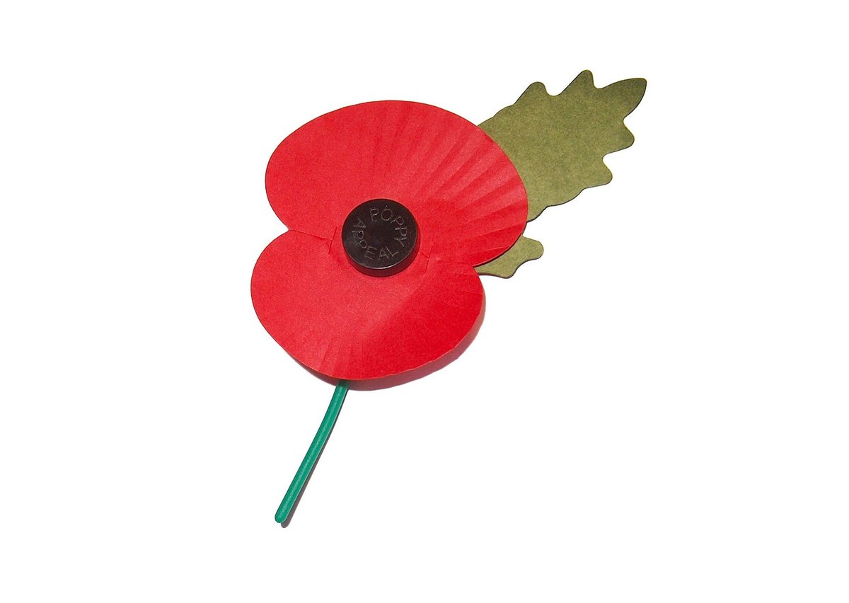 What is Remembrance Day? - When is Remembrance Day? - What side do you wear a poppy?