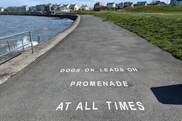 Dogs on leads painted signage on Ballyholme Promenade