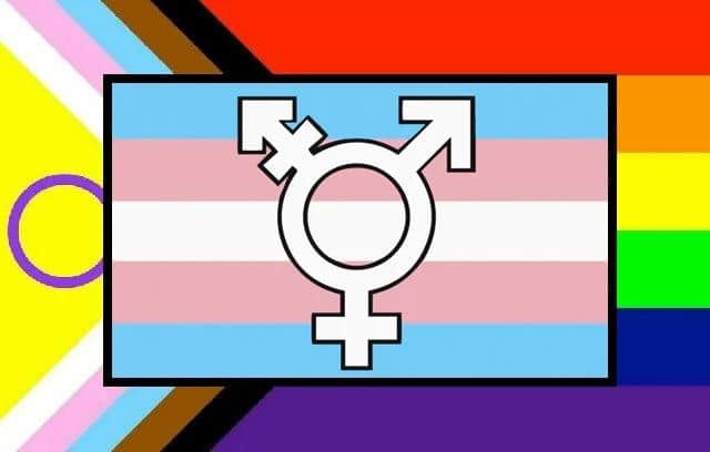 Progress/BLM/trans-inclusive LGBTQQIA+ flag overlaid with a trans flag and symbol