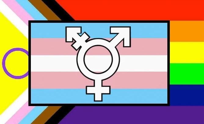 Transgender Trend: 'Here is why we object to pushing gender identity lessons on to schoolchildren'