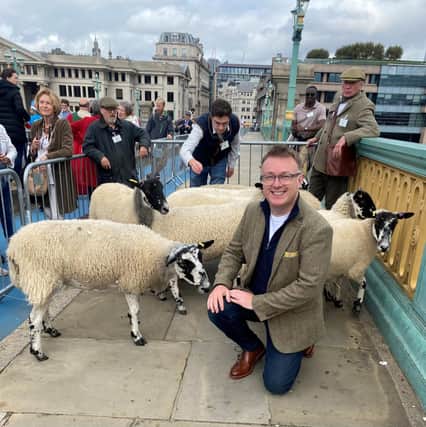 The BBC radio presenter, Richard Yarr MBE, exercises his right as a Freeman of the City of London to drive his sheep over the Thames river on Sunday September 24 2023