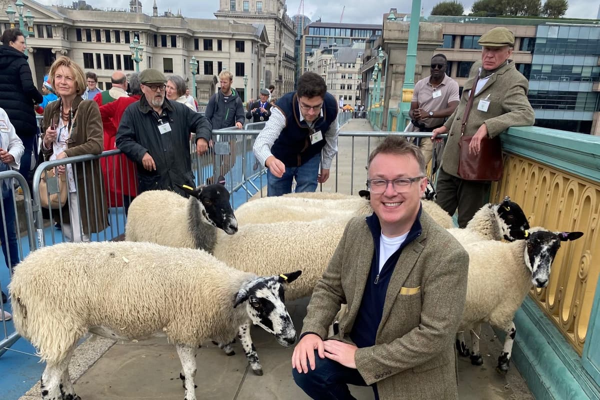 Radio Ulster Sacred Sounds presenter Richard Yarr exercises his right to drive sheep over Thames as freeman of London