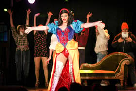 A promotional image used for the Dizney in Drag show