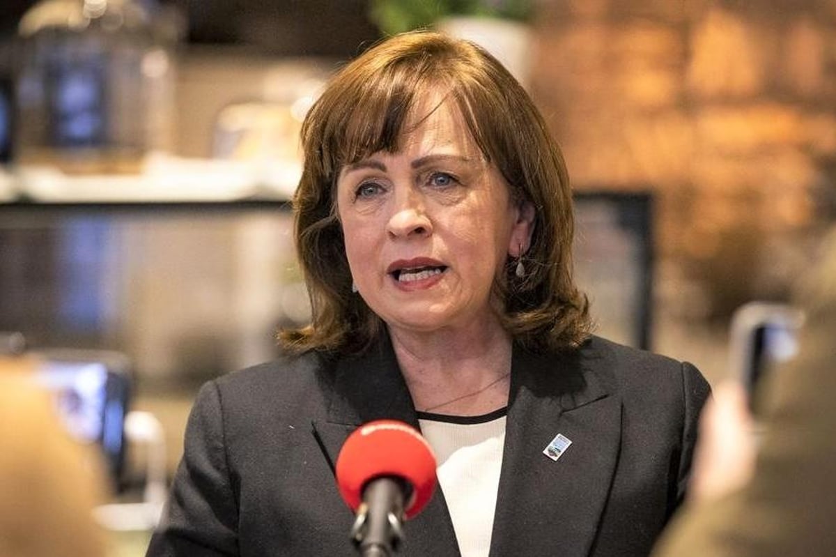 Cutting MLA pay and delaying energy payments won't bring back Stormont says DUP's Diane Dodds