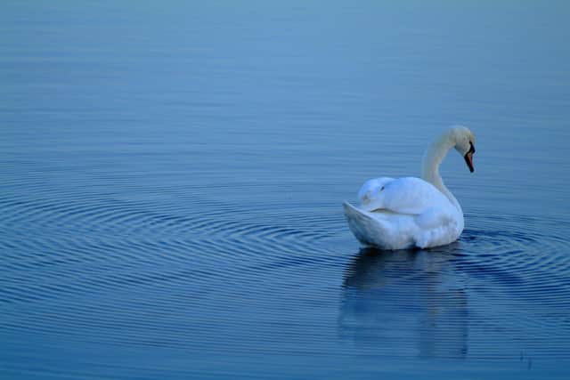 Public Invited to Share Views on Lough Neagh