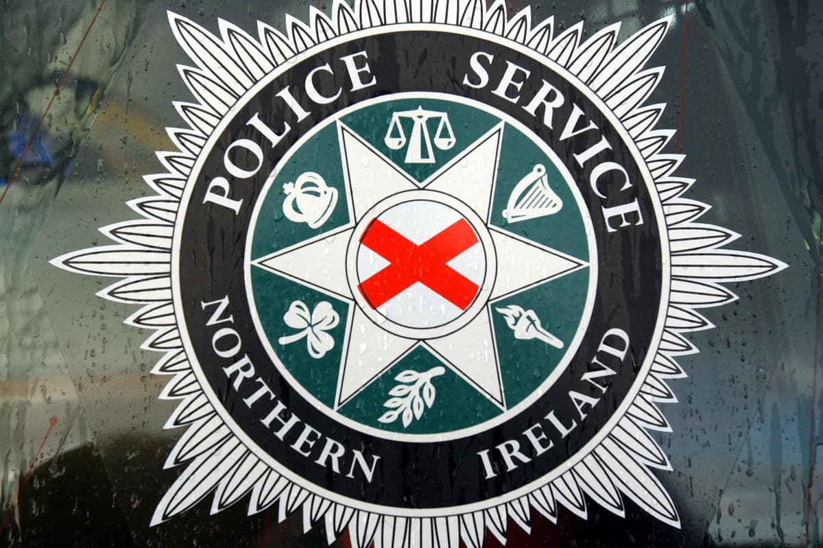 Man charged grievous bodily harm with intent and possessing an offensive weapon in Dundrum to appear in court