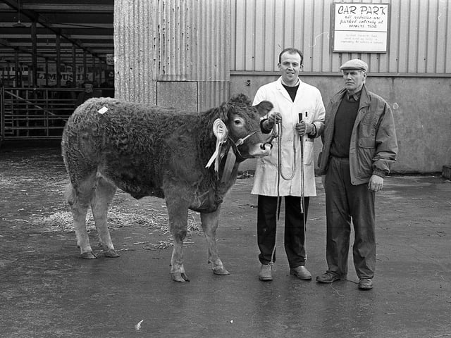 Trade for Limousins at the club sale in the Automart, Portadown, near the end of February 1992, was excellent and followed the trend that had been set in Perth. In this photograph we see Killagan Fiesta, the reserve champion and female champion, owned by Seamus Rainey, left, of Glarryford, Ballymena. At the halter is Colin Christie. Picture: Farming Life/News Letter archives