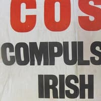 The debate over Dublin’s Irish language policy raged for years