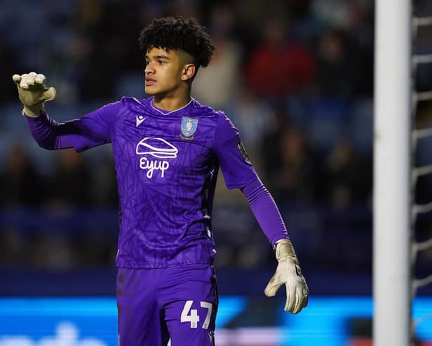 Sheffield Wednesday goalkeeper Pierce Charles has been handed his first call-up to the Northern Ireland senior squad for the friendlies against Spain and Andorra