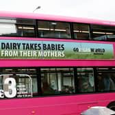 Go Vegan World's advertising campaign featured on a bus in Belfast. A series of hard-hitting ads are featuring on 100 buses across Northern Ireland. 
Photo: Go Vegan World/PA Wire