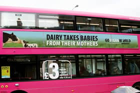 Go Vegan World's advertising campaign featured on a bus in Belfast. A series of hard-hitting ads are featuring on 100 buses across Northern Ireland. 
Photo: Go Vegan World/PA Wire