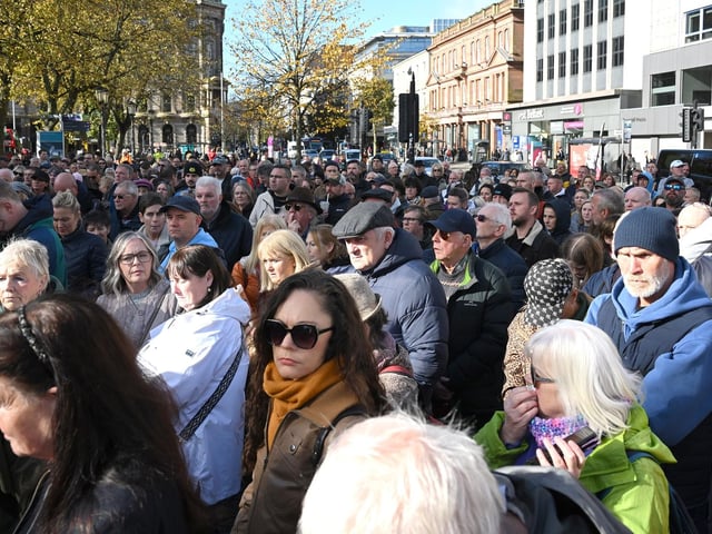 Protestors pictured at Belfast City Hall against the NI Public Health Bill. .