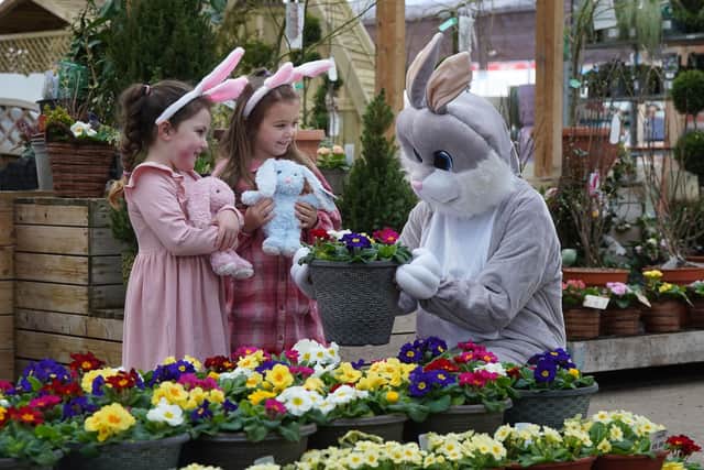 The Easter Bunny Afternoon Tea and Hopping Hounds are brand-new events at Dobbies this Easter.